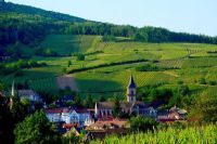 Quoi faire ce weekend en Estrie ?